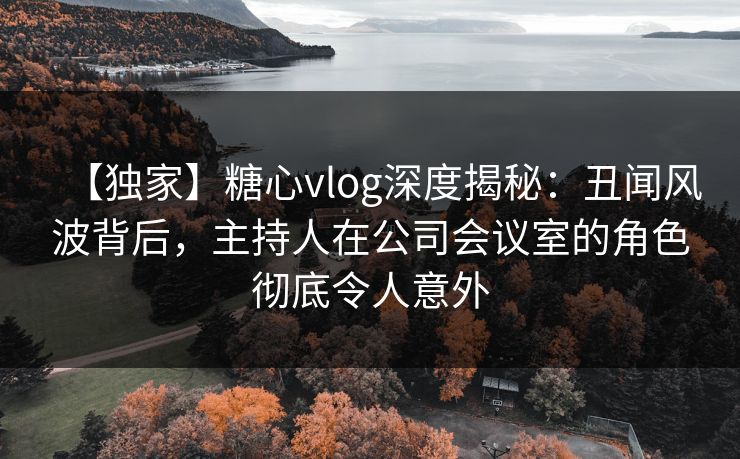 【独家】糖心vlog深度揭秘：丑闻风波背后，主持人在公司会议室的角色彻底令人意外