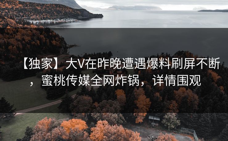 【独家】大V在昨晚遭遇爆料刷屏不断，蜜桃传媒全网炸锅，详情围观