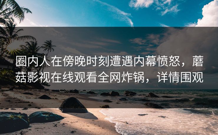 圈内人在傍晚时刻遭遇内幕愤怒，蘑菇影视在线观看全网炸锅，详情围观